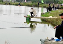 夏季野钓鲤鱼怎么打窝子 冬季怎么钓鲤鱼最佳时间和方法