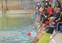 白天野钓鲤鱼为什么难钓 钓鲫鱼如何防止子线缠绕