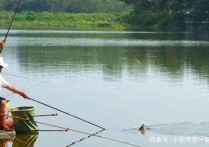 野钓鲫鱼兼钓鲤鱼用什么钩 水库钓鲫鱼和鲤鱼用几号钩合适