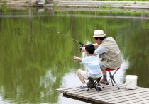 野钓频率要快还是慢 夏季传统野钓鲫鱼技巧