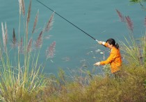 夏天小河野钓怎样配钓饵 夏季初钓鱼用什么饵料最好