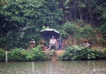 野钓小黄面怎么样 江河钓鲤鱼怎么选钓位才能钓到鱼