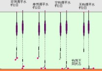 野钓钓鲤鱼调漂图解 钓鲤鱼钓多深的水合适