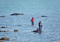 野钓蚯蚓怎么挂钩最好 春季野钓蚯蚓挂钩最佳方法