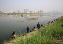 夏季野钓鱼怎么调漂 钓鲫鱼调漂技巧口诀