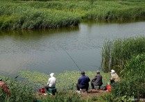 夜野钓鲤鱼调灵还是顿 钓鲤鱼调漂的最正确方法