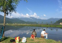 肥水野钓大鲤鱼 小河里夏季钓鲤鱼技巧