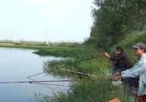 野钓鱼少水域大怎么钓 野外钓鱼十七种方法