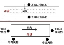 野钓上风口还是下风口 海水闸口钓鱼最佳位置