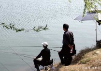 夏天野钓闸口在哪打窝 水闸钓鱼最佳地点