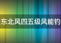 春季东北风野钓如何 夏天大风怎么钓鱼