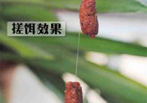 野钓鲫鱼用香饵还是腥饵 夏季钓鲫鱼用本味还是果香