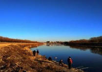 混养浮漂适合野钓吗 钓底层鱼一般使用什么鱼漂