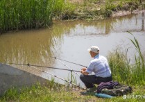 野钓草太多有什么办法 夏季水底水草多怎么钓鱼