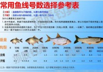 野钓鱼线鱼钩选择 鱼钩型号排行榜前十名