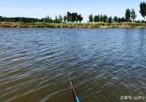 野钓鲫鱼窝怎么找 夏天水库钓鱼如何找鱼窝