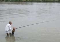 初夏刮西南风野钓鲫鱼 春季如何钓海梭鱼