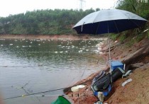 雨天如何野钓黑坑 夏天晴天钓鱼的技巧