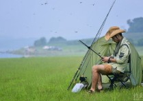 白露季节野钓鲫鱼技巧 夏季钓鲫鱼一天最佳时间段