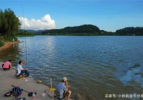 野钓用什么饵料上鱼快 江鱼用什么饵钓最好