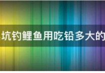 野钓鲤鱼多大漂合适 黑坑钓鲤鱼技巧详解全攻略