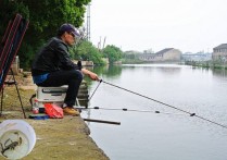 夏天野钓麻杆太多用什么饵 夏天钓鱼饵料加什么好