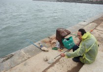 如何野钓河里鲤鱼 夏天如何在河里钓鲤鱼