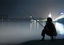 野钓有光影响上鱼吗 半夜能钓到鱼吗